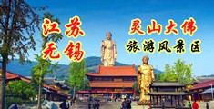 草逼视频免费浏览江苏无锡灵山大佛旅游风景区