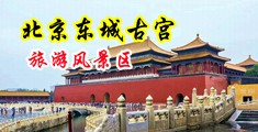 淫荡欧美老骚妇中国北京-东城古宫旅游风景区